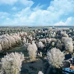Im Mueritz